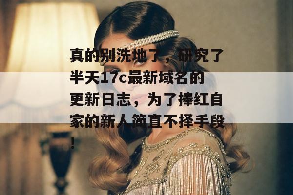 真的别洗地了，研究了半天17c最新域名的更新日志，为了捧红自家的新人简直不择手段！